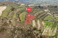 2676 SQM Land in Stroumbi (Paphos) for sale 