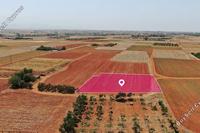 1872 SQM Land in Palaiometocho (Nicosia) for sale 