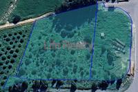 7700 SQM Land in Anthoupoli Limassol (Limassol) for sale 