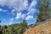 7693 SQM Land · Kakopetria (Nicosia) for sale 