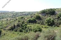 7693 SQM Land in Stroumbi (Paphos) for sale 