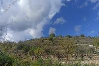 5018 SQM Land in Koili (Paphos) for sale 