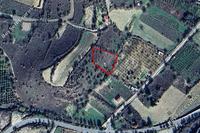 1673 SQM Land · Praitori (Paphos) for sale 