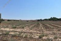 4144 SQM Land in Geri (Nicosia) for sale 