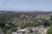 28763 SQM Land in Chrysopolitissa (Larnaca) for sale 