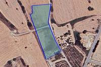 8696 SQM Land in Tochni (Larnaca) for sale 