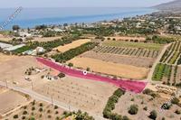 5519 SQM Land · Argaka (Paphos) for sale 