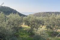 5018 SQM Land in Agios Tychonas (Limassol) for sale 