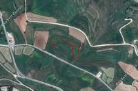 7202 SQM Land in Kato Arodes (Paphos) for sale 
