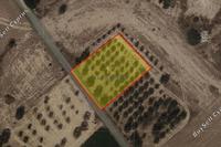 1505 SQM Land in Mazotos (Larnaca) for sale 