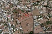 8000 SQM Land in Emba (Paphos) for sale 