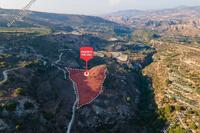 12422 SQM Land in Theletra (Paphos) for sale 
