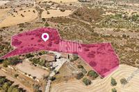 8696 SQM Plot · Choirokoitia (Larnaca) for sale 
