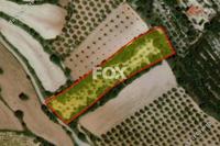 4599 SQM Land in Armou (Paphos) for sale 