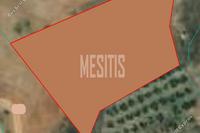 4014 SQM Land in Kato Koutrafas (Nicosia) for sale 