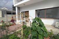 1 Bedroom Detached house in Agia Zoni (Limassol) to rent 
