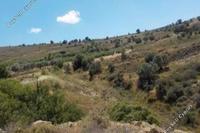 6271 SQM Land · Statos Agios Fotios (Paphos) for sale 