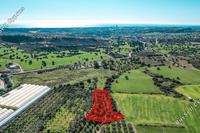 2007 SQM Land · Choirokoitia (Larnaca) for sale 