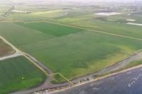 145000 SQM Land in Tersefanou (Larnaca) for sale 