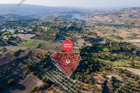 7358 SQM Land · Simou (Paphos) for sale 