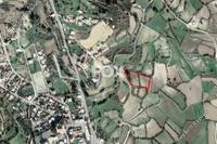 6021 SQM Land in Stroumbi (Paphos) for sale 