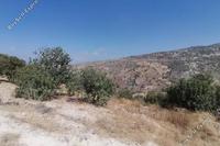 11706 SQM Land · Koili (Paphos) for sale 