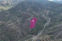 12375 SQM Land in Fikardou (Nicosia) for sale 