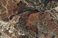 15609 SQM Land · Sea Caves Peyia (Paphos) for sale 