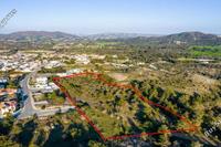 12375 SQM Plot in Kornos (Larnaca) for sale 