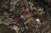 6556 SQM Land · Apesia (Limassol) for sale 