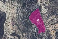 30770 SQM Land · Apesia (Limassol) for sale 