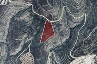9995 SQM Land · Arsos Lemesou (Limassol) for sale 