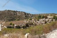 28432 SQM Land in Koilani (Limassol) for sale 