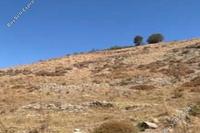 5017 SQM Land · Episkopi Pafou (Paphos) for sale 
