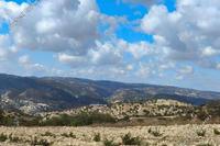 5017 SQM Land in Episkopi Pafou (Paphos) for sale 