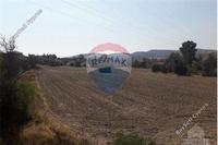 11456 SQM Land · Moni (Limassol) for sale 