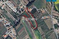 7024 SQM Land in Argaka (Paphos) for sale 