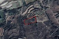 8027 SQM Land in Prastio (Paphos) for sale 