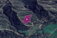 22409 SQM Land in Lythrodontas (Nicosia) for sale 