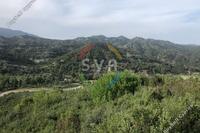 25284 SQM Land in Agios Mamas (Limassol) for sale 