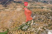 14892 SQM Land · Episkopi Pafou (Paphos) for sale 