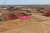 11708 SQM Land · Avgorou (Famagusta) for sale 
