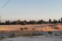 8362 SQM Land in Agios Silas (Limassol) for sale 