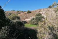 4348 SQM Land in Alampra (Nicosia) for sale 