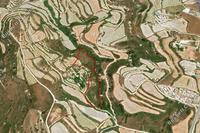11037 SQM Land in Tsada (Paphos) for sale 