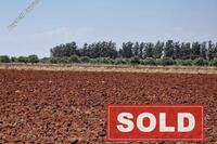 6451 SQM Land in Ormideia (Larnaca) for sale 