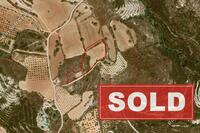 8195 SQM Land in Armou (Paphos) for sale 