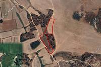 738 SQM Land · Paralimni (Famagusta) for sale 