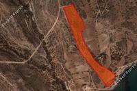 51954 SQM Plot in Pissouri (Limassol) for sale 