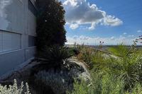  Office in Limassol Municipality (Limassol) to rent 